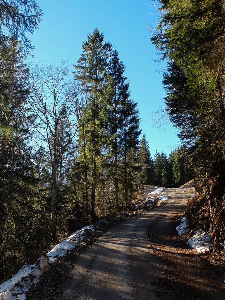 Vom Schatten ins Licht