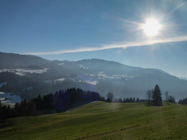 weiden_bei_vorderhalden