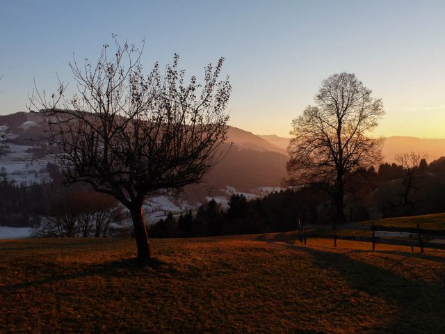 wiesen_am_kapf_in_der_abendsonne