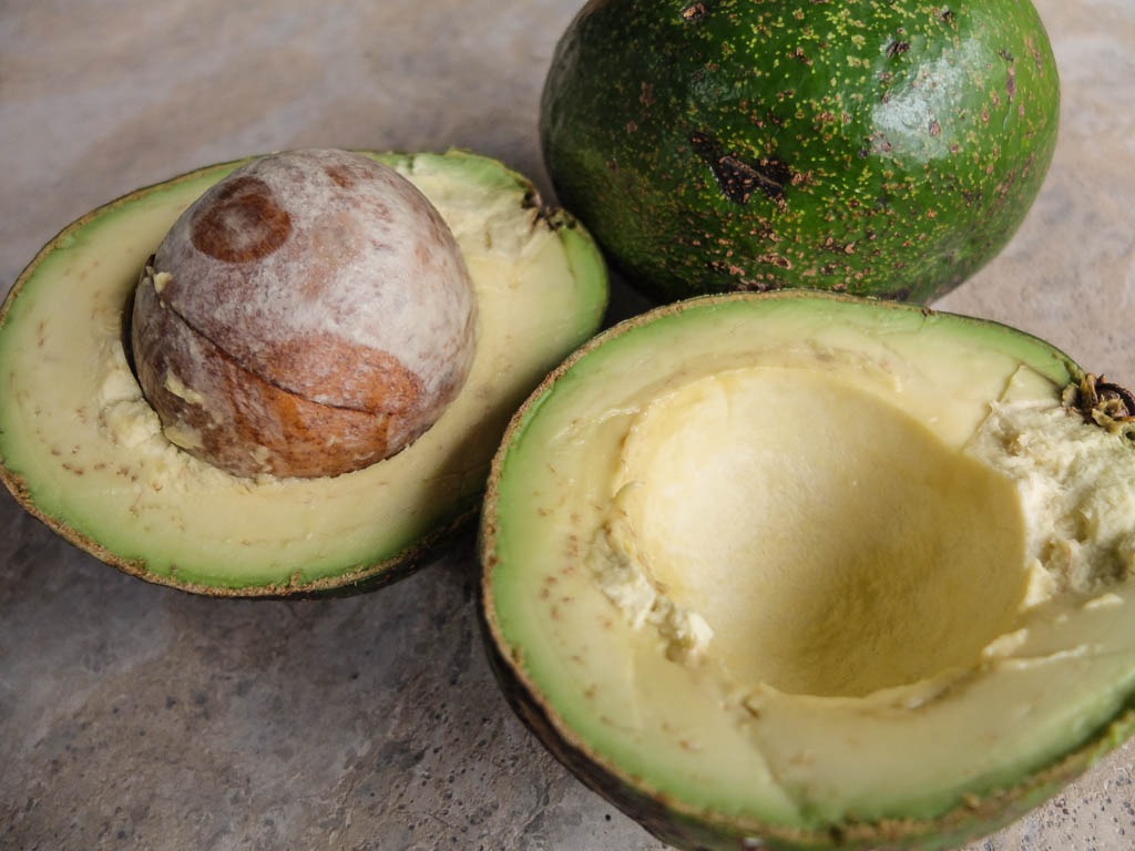 Avocado Lula und andere Köstlichkeiten