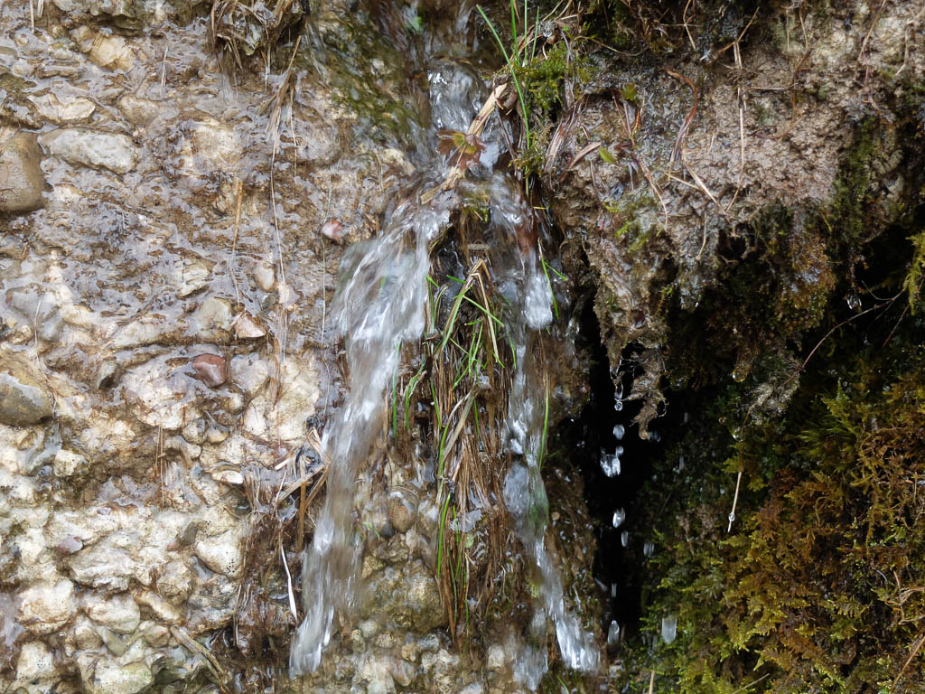 Lebendiges Wasser und Trockenfrüchte von Mutter Natur