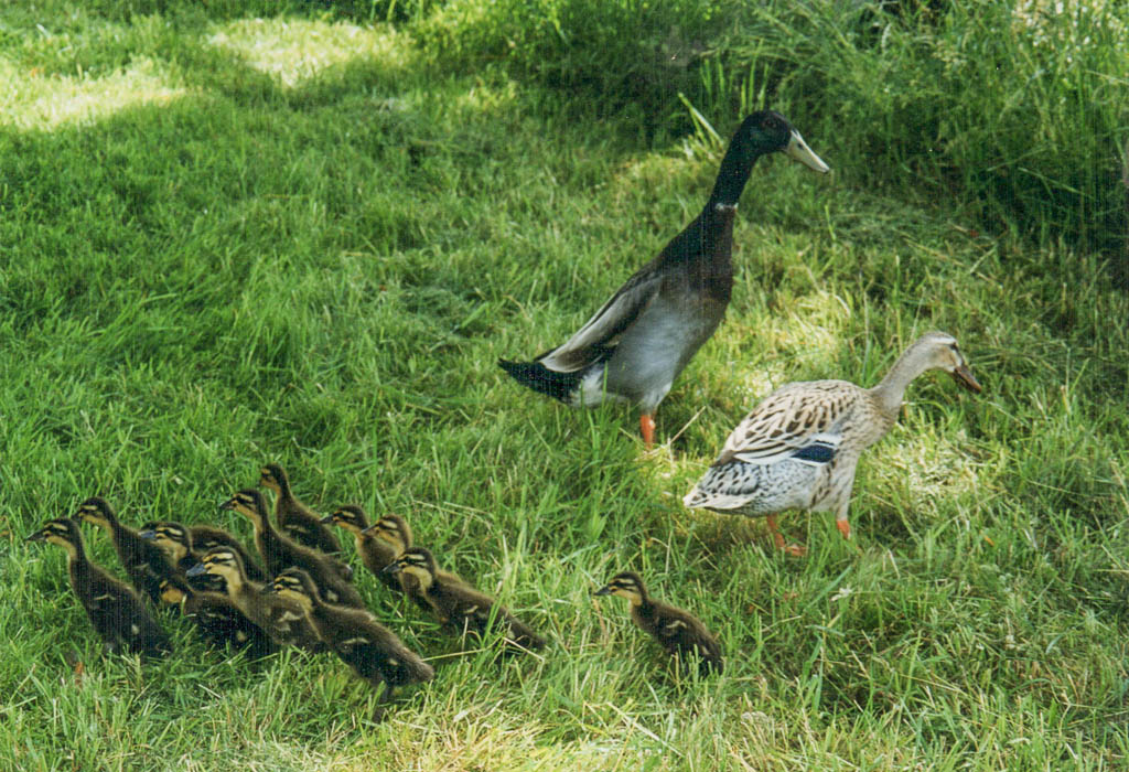 Erinnerungen an Erna und Fred