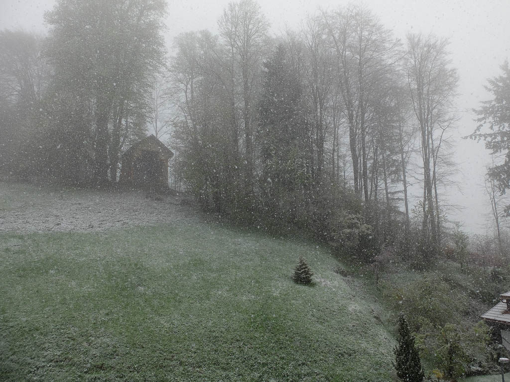 Leise rieselte der Schnee