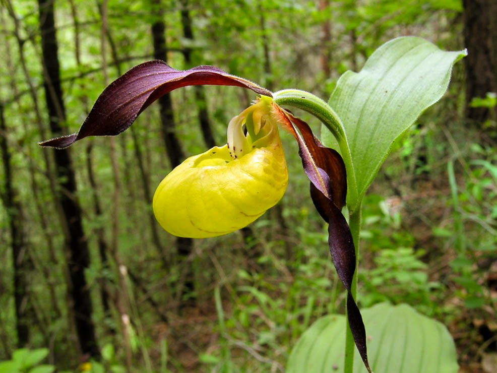Eine gute Nachricht und eine überraschende Begegnung zum Wochenbeginn