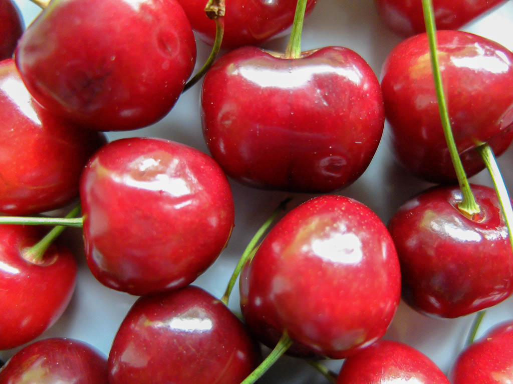 Die ersten Kirschen der Saison