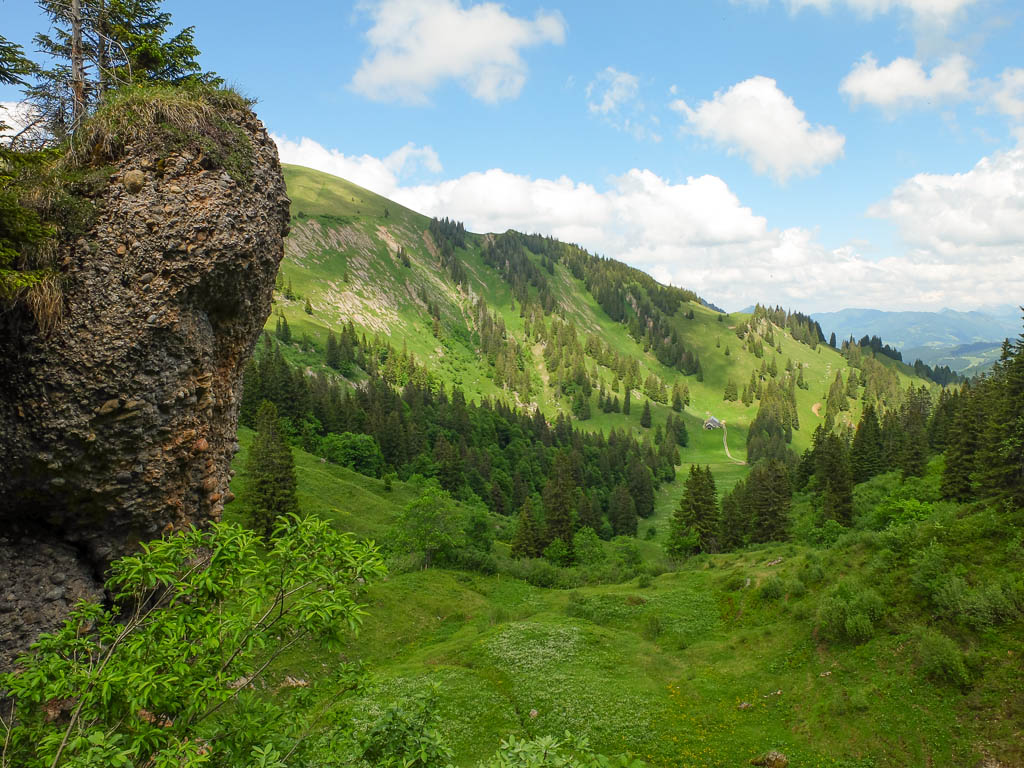 Ein unverhoffter Zufall