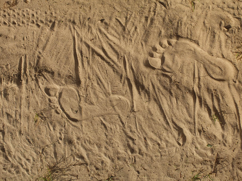 Barfuß über die Kalzhofner Höhe