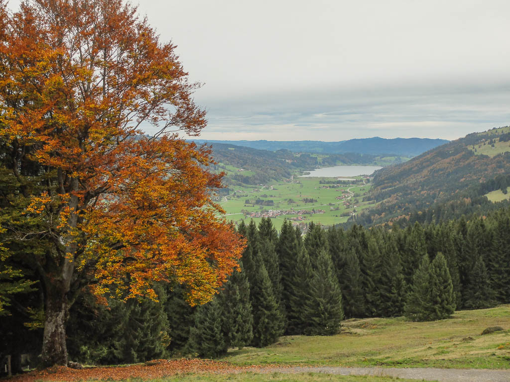 Ein klärendes Telefongespräch und eine Wanderung übers Hündle