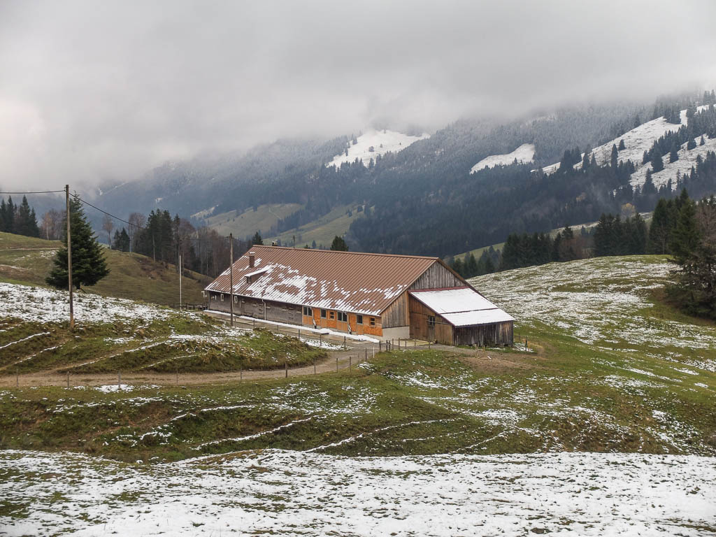 Zufrieden mit einer kleinen Lebensmittelauswahl