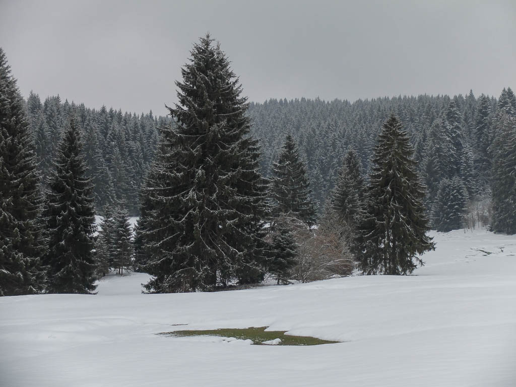 Ein Sonntagsspaziergang