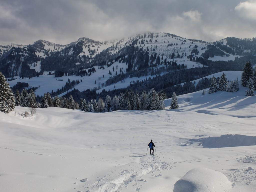 Schneeschuhspaziergang vom Imberg zum Lanzenbach
