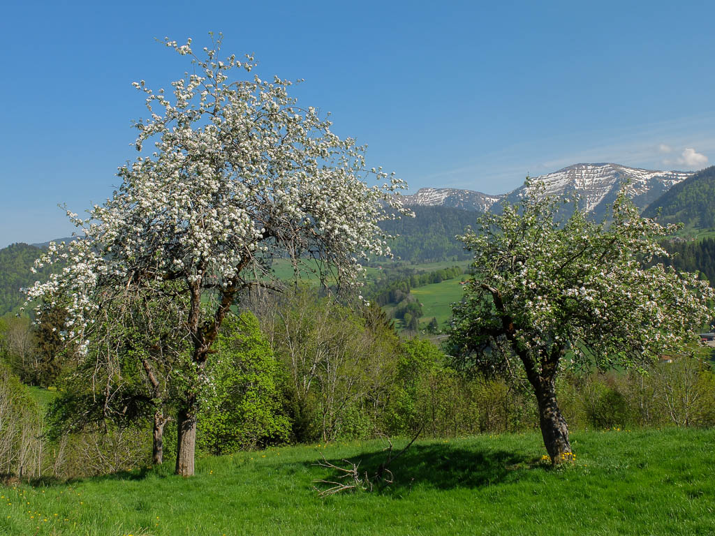 Balsam für die Seele