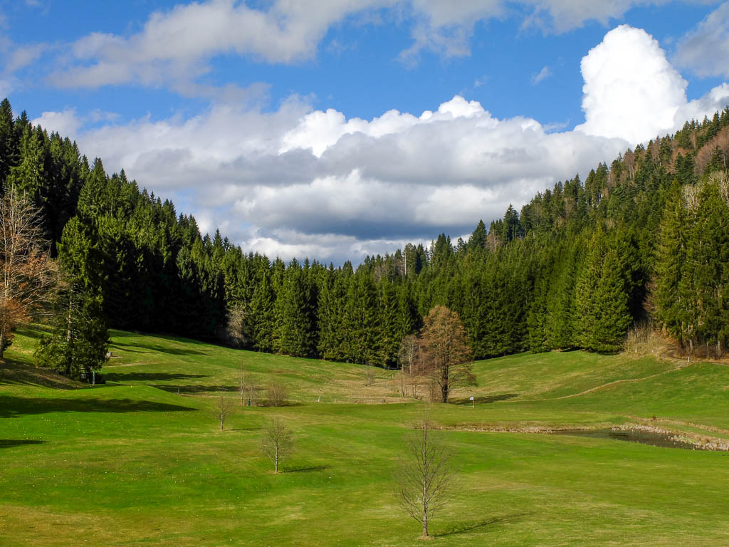 Über und rund um die Golfplätze von Buflings und Kalzhofen