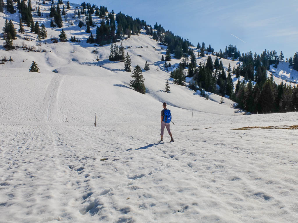 Flucht vor der Wärme in den Schnee