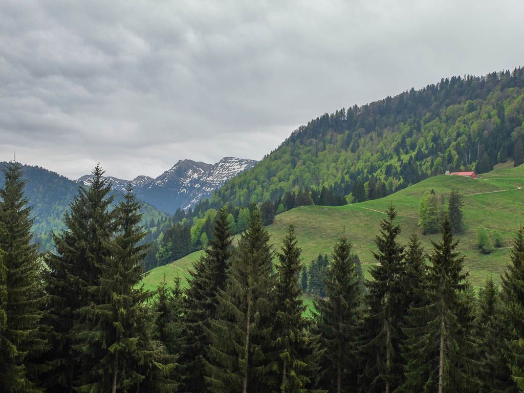 Regnerisch und kühl