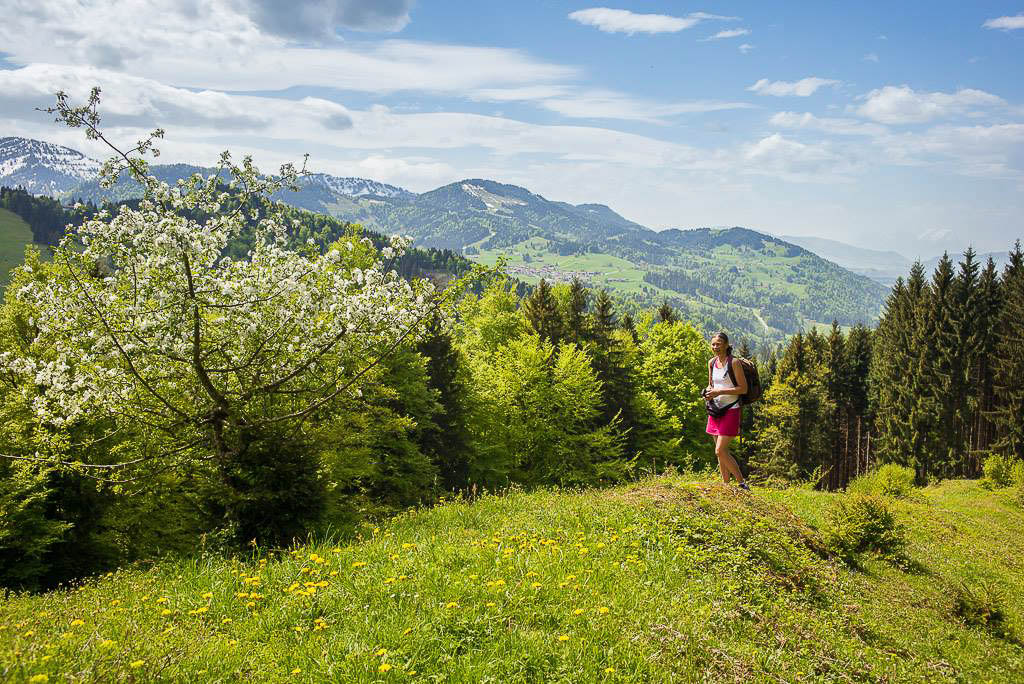 Über Salmaser und Kalzhofner Höhe