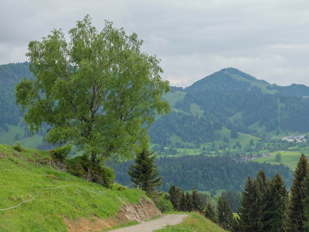 Wieder hinaus ins Grüne