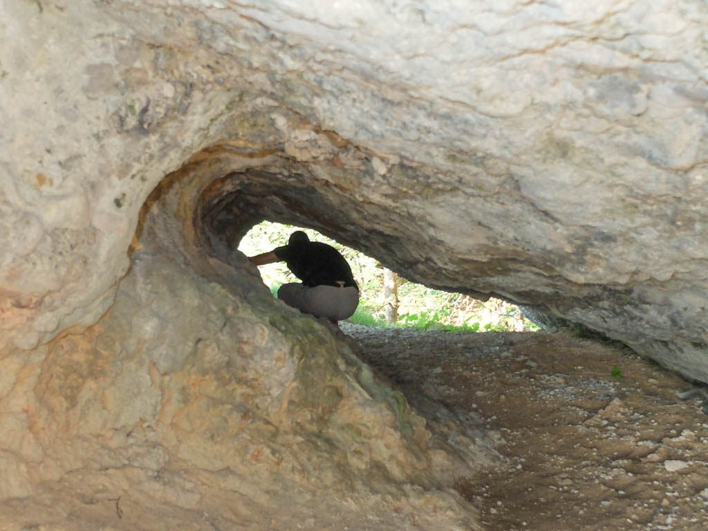 Wanderung zum Kojenstein