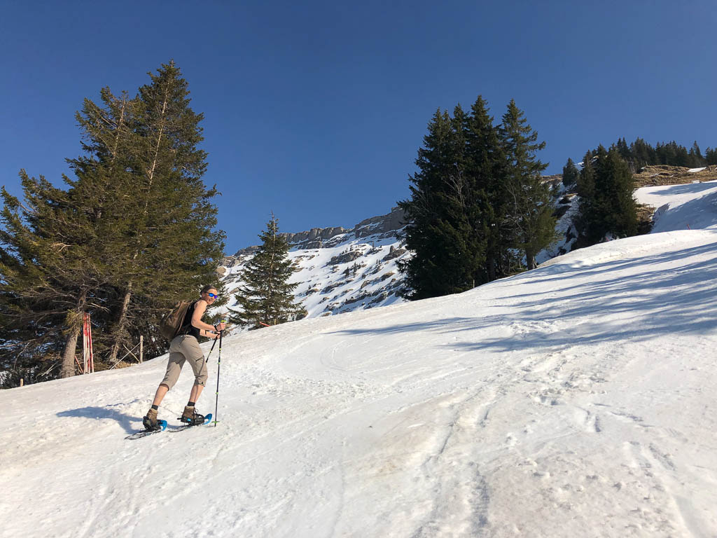 Mit Schneeschuhen auf den Hochgrat