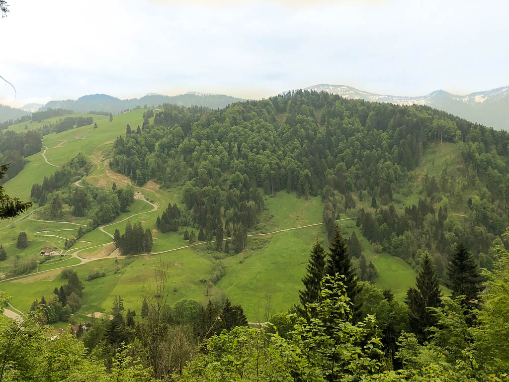 Spaziergang rund um den Staufner Berg und Oberstaufen