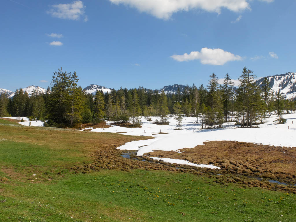 Vom Imberg zum Kojenmoos