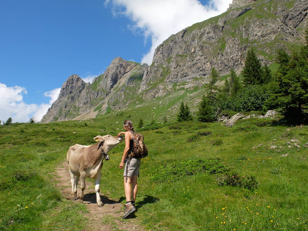 Von Palfries auf den Alvier