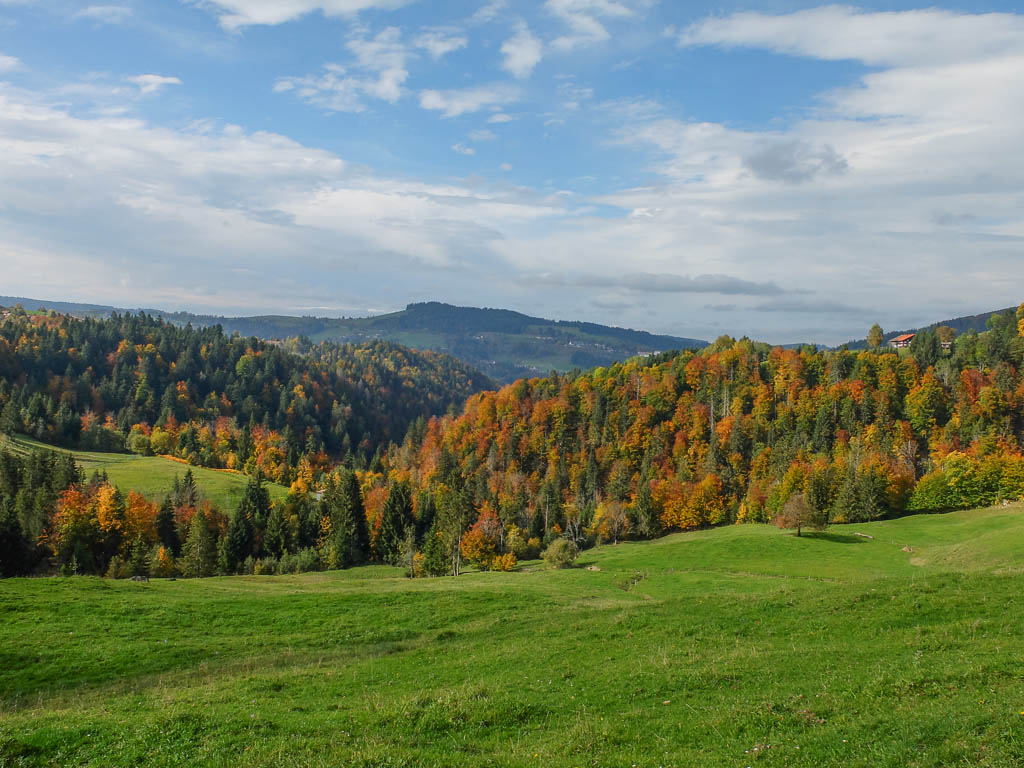 Der Herbst rund um Steibis und Oberstaufen