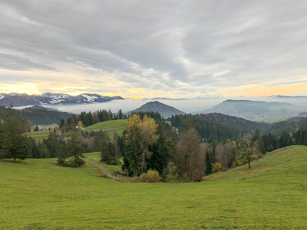 Nachmittagswanderung über Buflings, Kalzhofen und Hompessen-Alpe