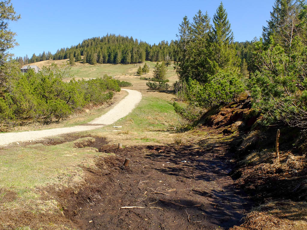 Wanderung zum Kojenmoos