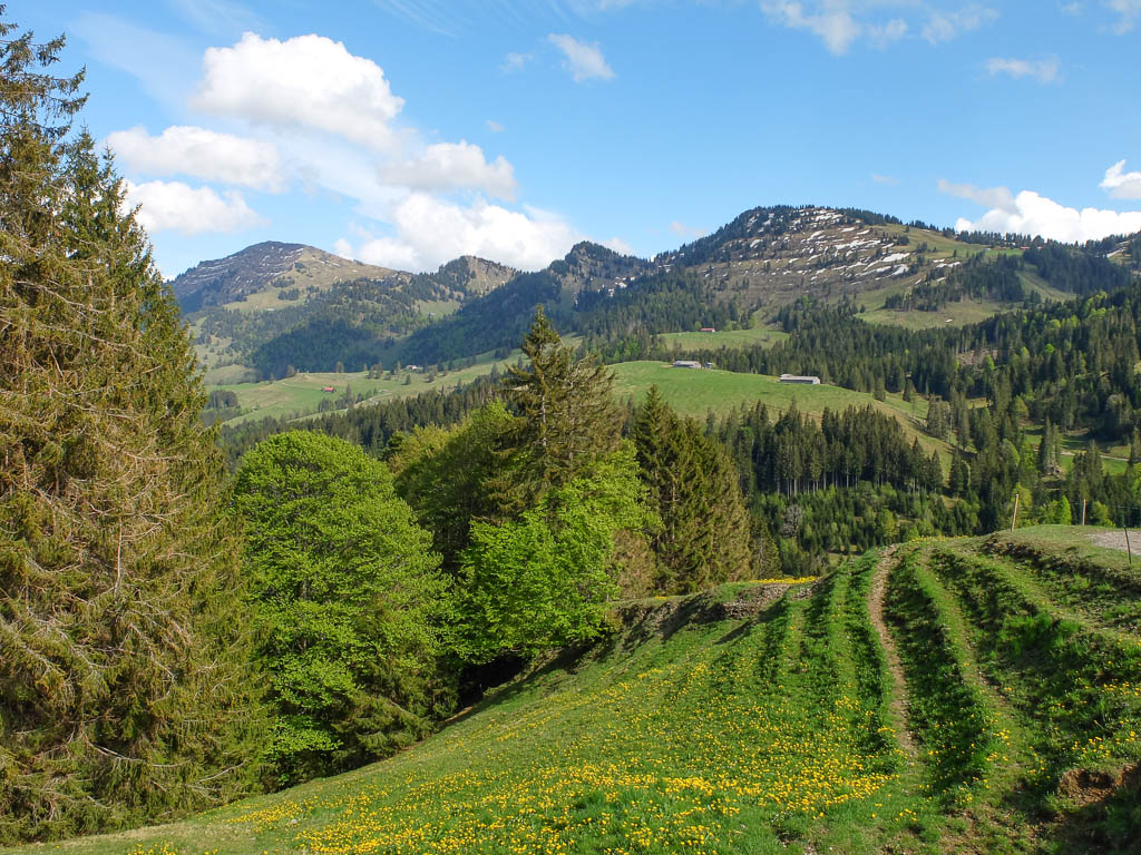 Wanderung durch den Naturpark Nagelfluhkette