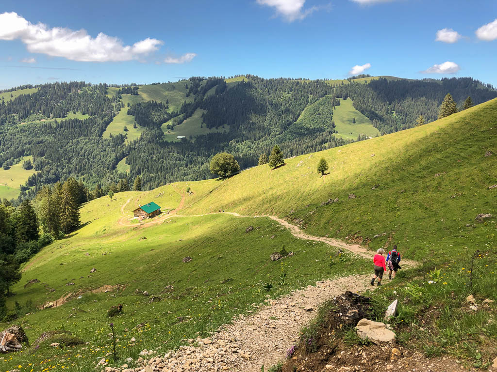 Befreit auf den Hochgrat