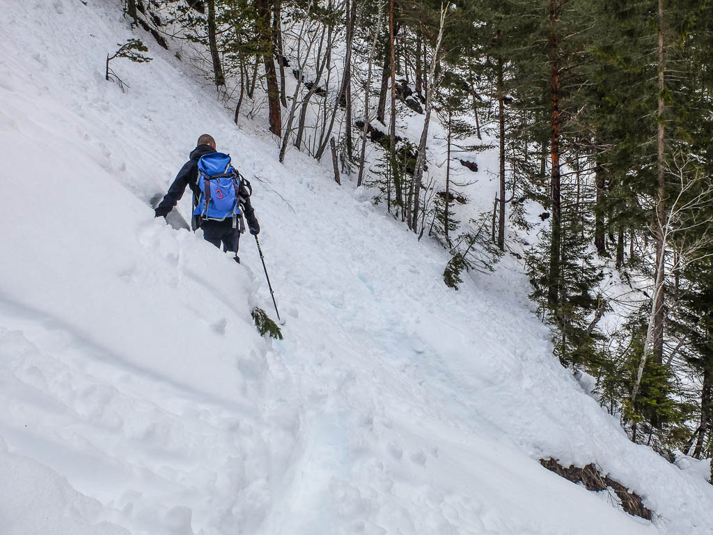 Mit Schneeschuhen von Schmitten nach Wiesen