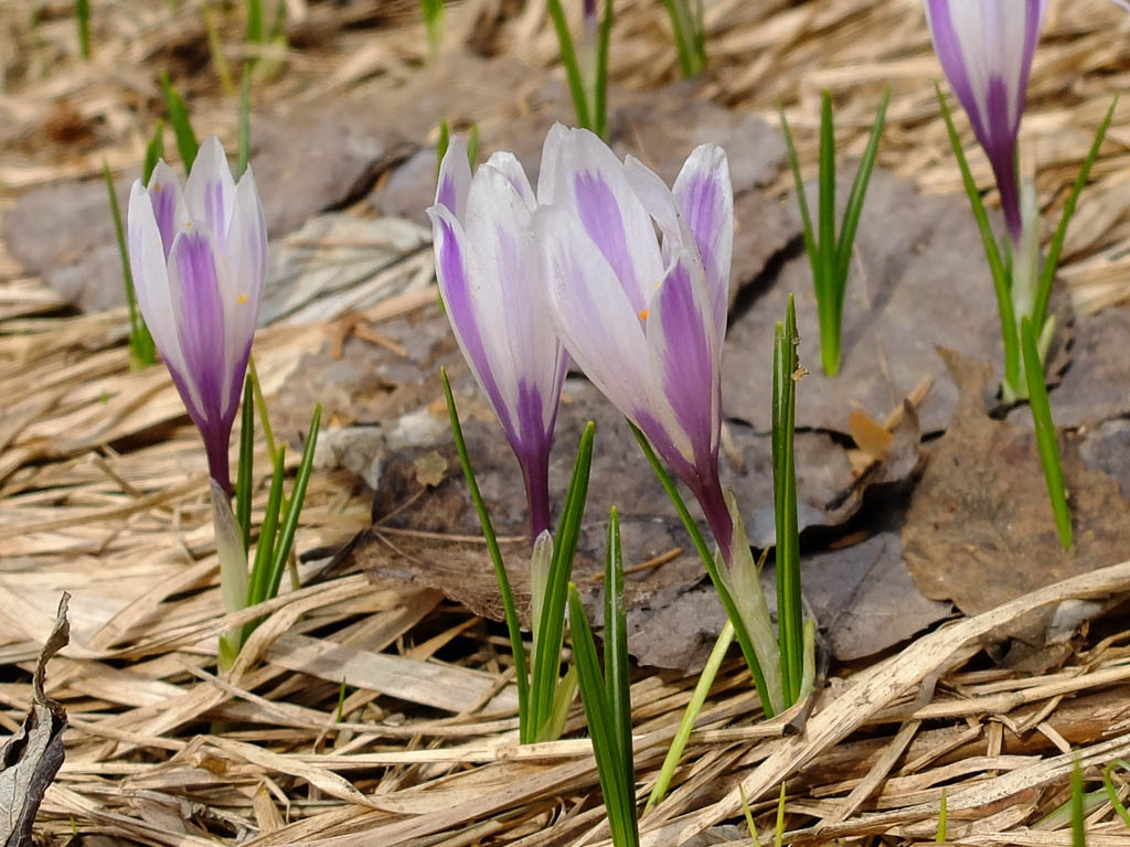 Wanderung über die Schmittener Fischerhütte