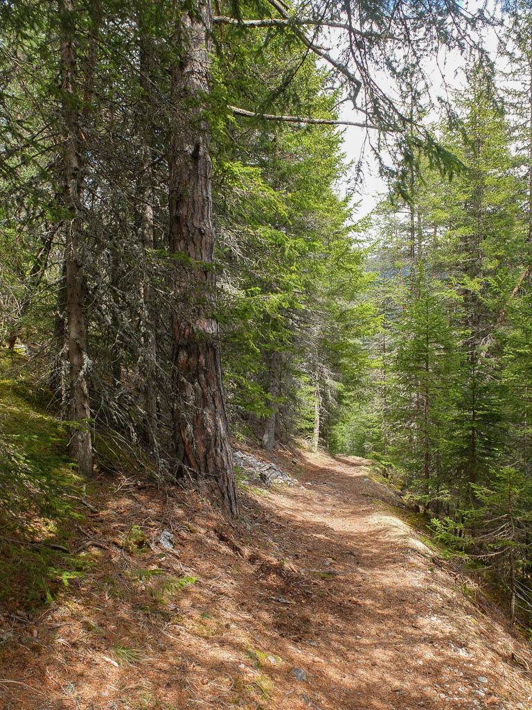 Über den Alten Zügenweg von Davos Wiesen nach Davos Glaris