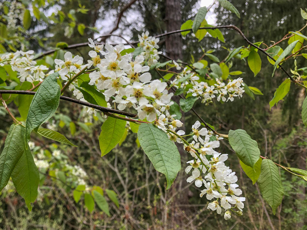 Krafttanken in der Natur