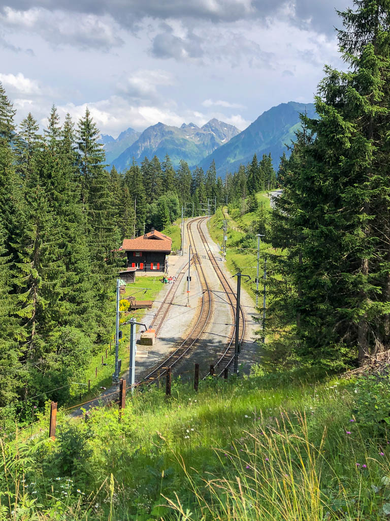 Eine Nachmittagswanderung von Cavadürli nach Wolfgang