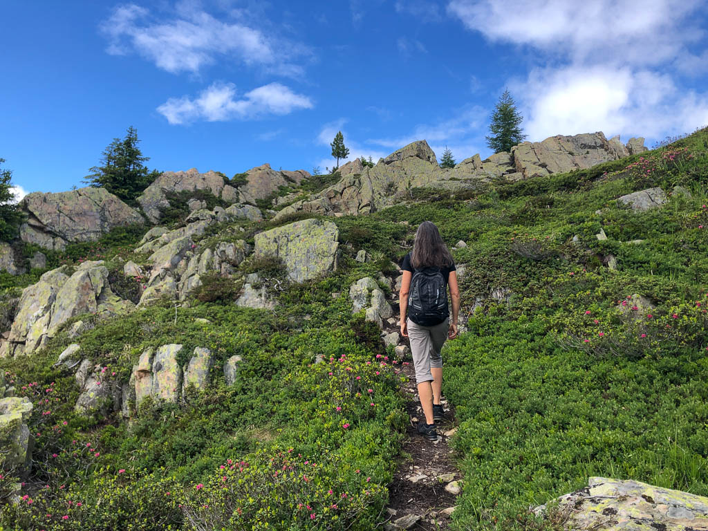 Nachmittagswanderung auf das Davoser Seehorn