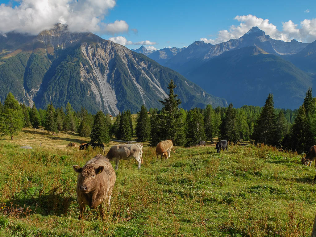 Vormittags im Unterland, nachmittags in den Bergen