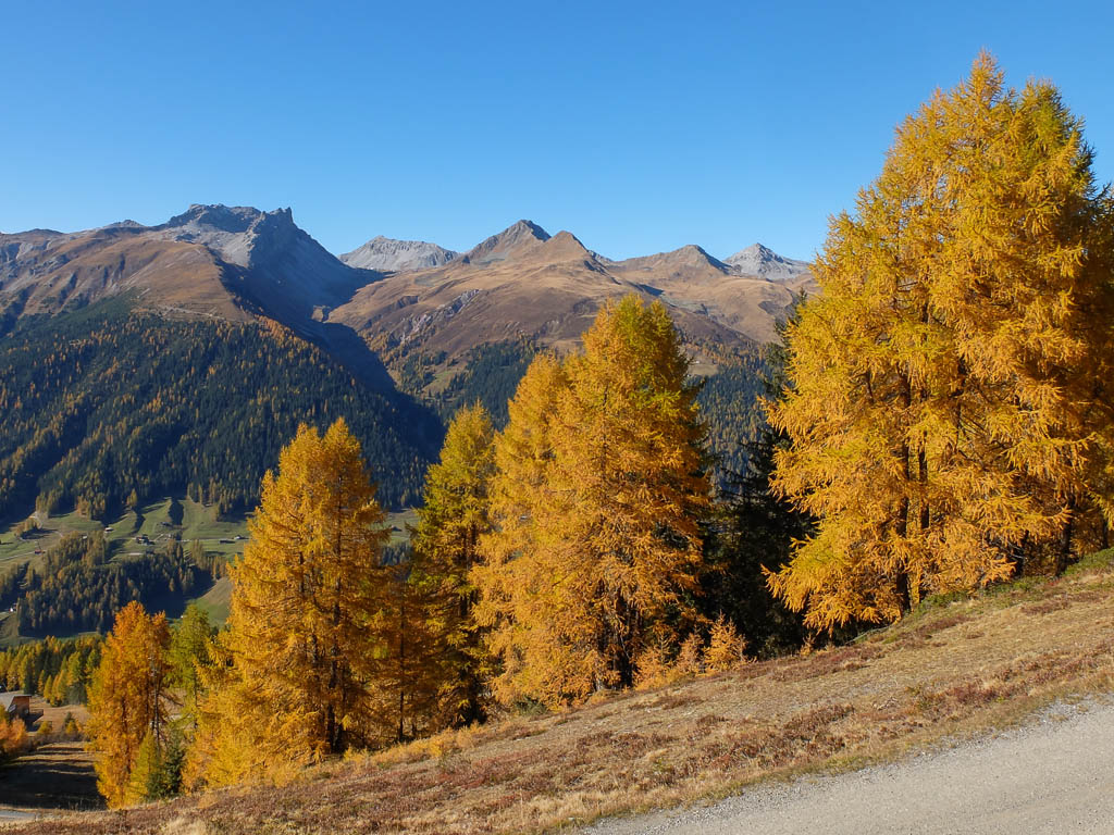 Ein weiterer Herbstspaziergang